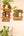 Whiskey Barrel Shelves