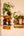 Whiskey Barrel Shelves