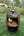 Whiskey Barrel Cabinet without Door